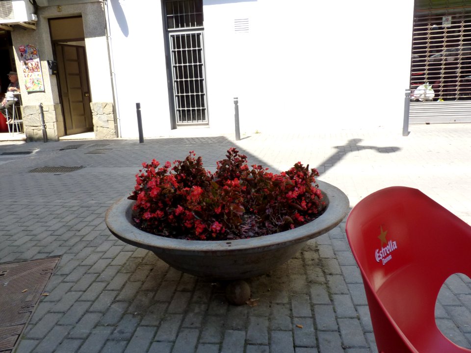 P1260454