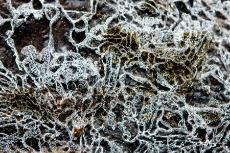 Ice- Cracks On The Moss photo