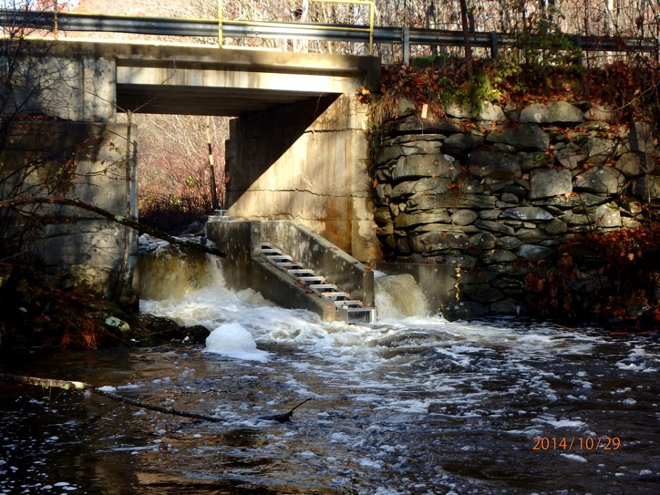 Etna Pond Fishway