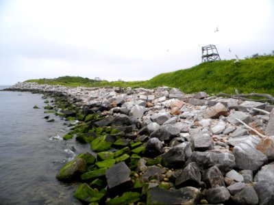 Great Gull Island, NY