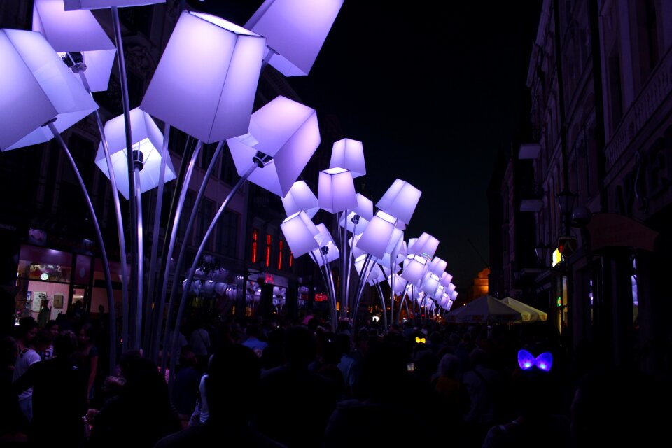 Light toruń the art of