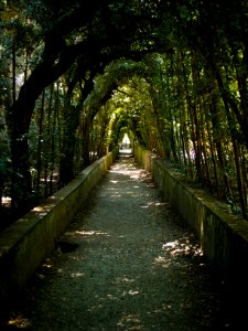 20070520-32