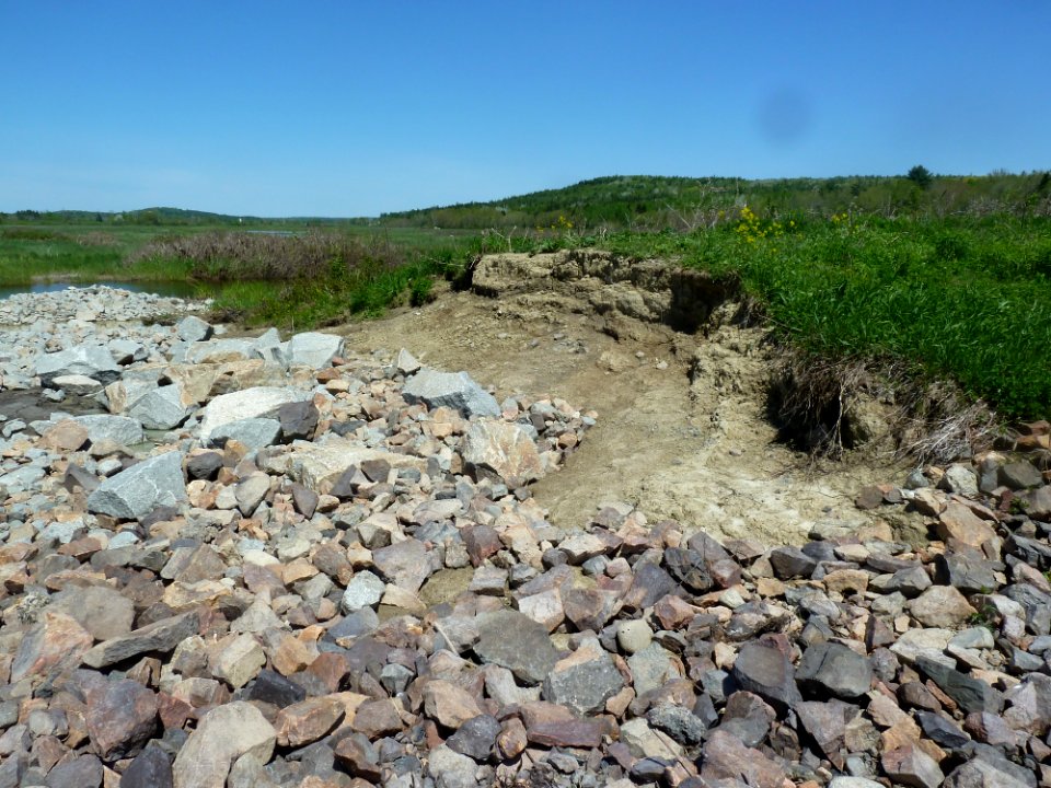 Dike near Upper Magurrewock Spillway at Moosehorn National Wildlife Refuge (ME)