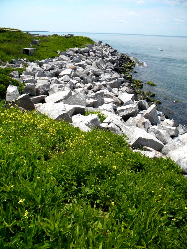 Great Gull Island, NY