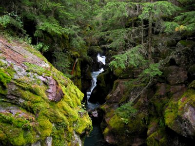 Avalanche Gorge photo