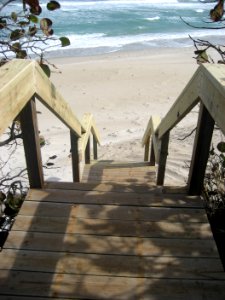 Archie Carr - repaired crossover bridge and stairs