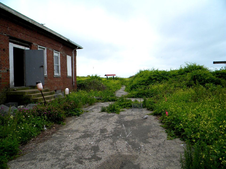 Great Gull Island, NY