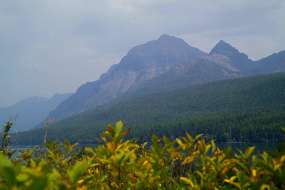 Shores of Bowman Lake