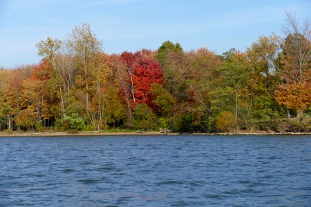Alum Creek Lake Fall 2015