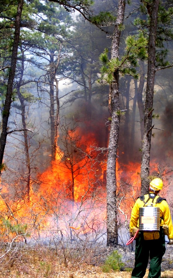 Prescribed fire, April 2010