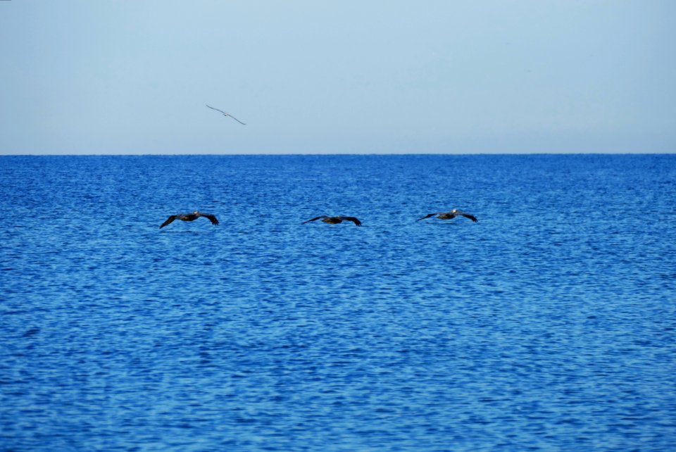 Pass-A-Grille Beach