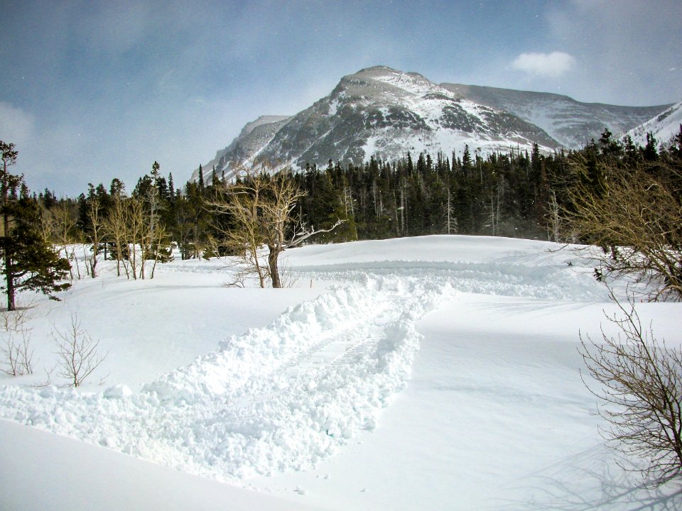 PLOWING-TWOMED-APRIL2018-0662