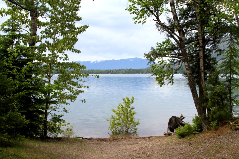 Fish Creek Picnic Area, Lake McDonald - 1 [There is more of a beach as the water levels drop through the summer.]