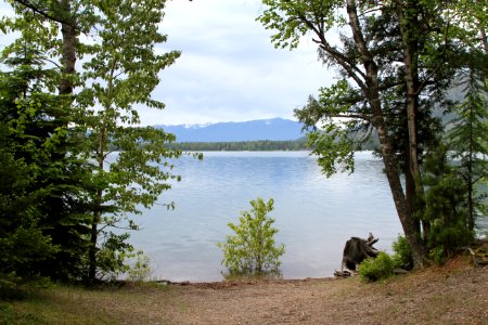 Fish Creek Picnic Area, Lake McDonald - 1 [There is more of a beach as the water levels drop through the summer.] photo