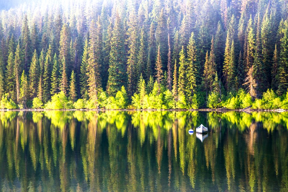 Quartz Lake Fish Project 0022