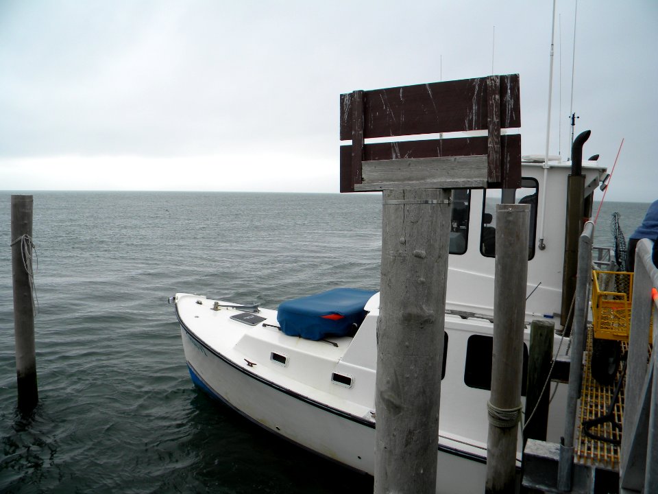 Great Gull Island, NY