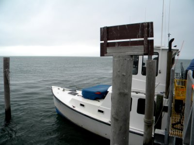 Great Gull Island, NY