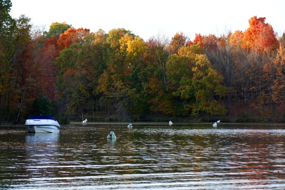Alum Creek Lake Fall 2015