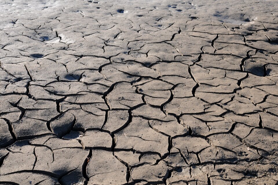 Dehydrated ground nature