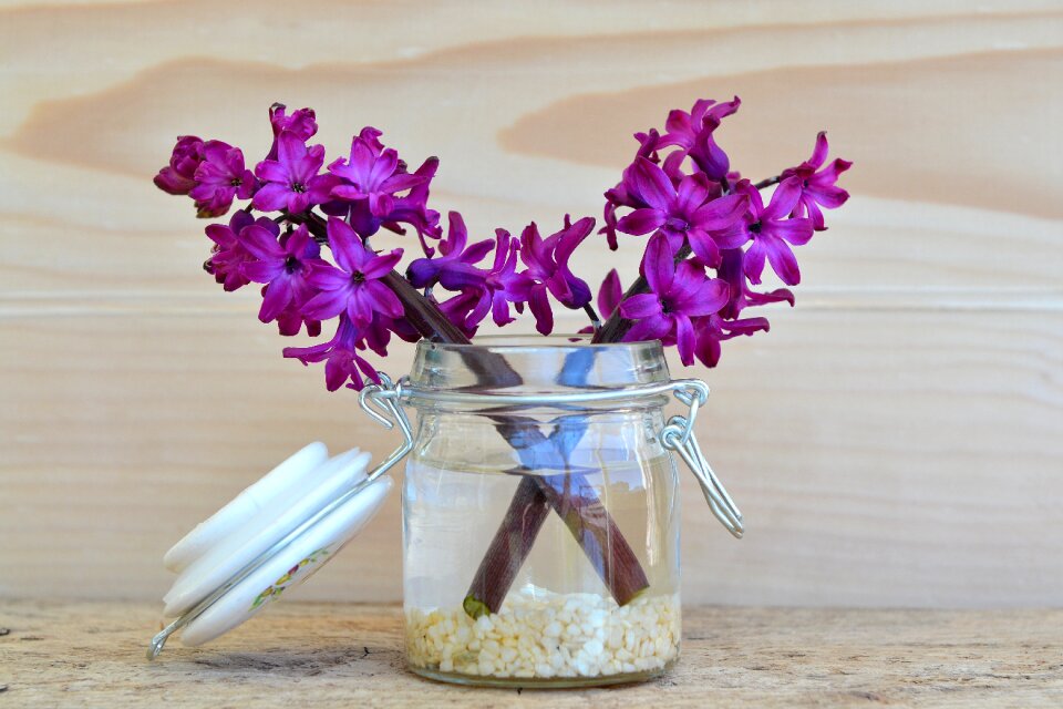 Jar decorative glass vase