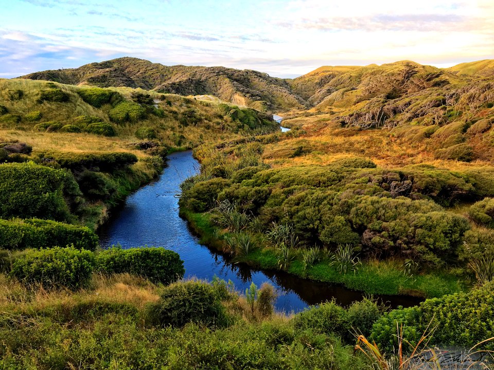 2017 03 NewZealand iPhone 4