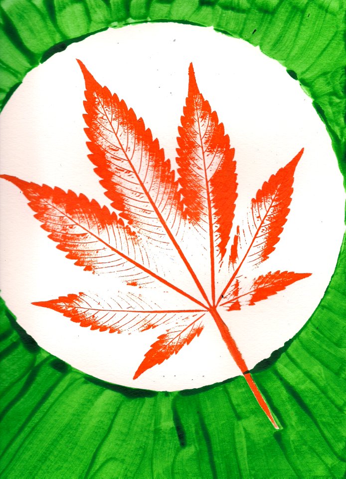 Cannabis In The Spotlight -2017