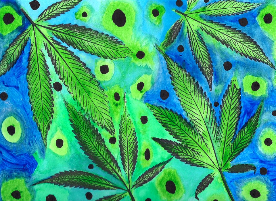 Tasty Homegrown Cannabis - 2016
