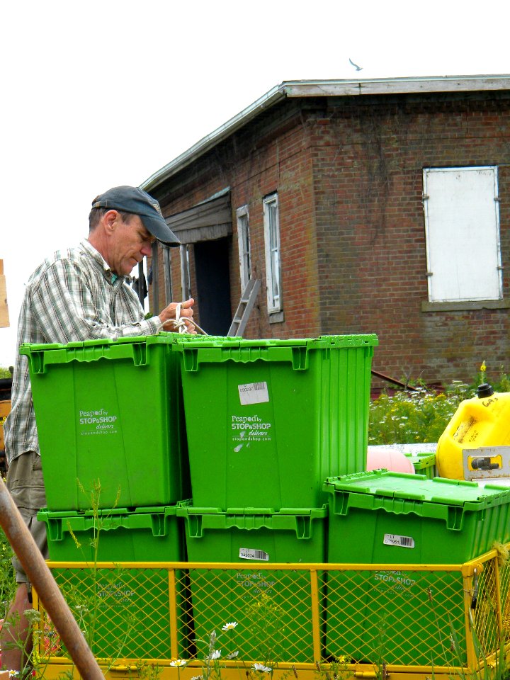 Great Gull Island, NY