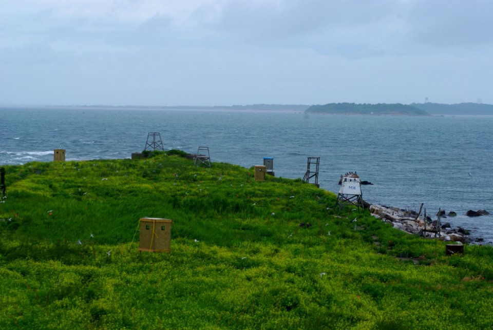 Great Gull Island, NY