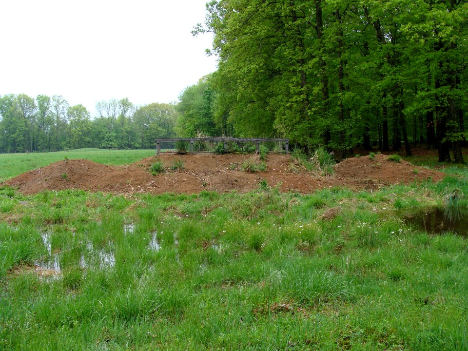 Wood Turtle artificial nest mound - GSNWR - by CPO