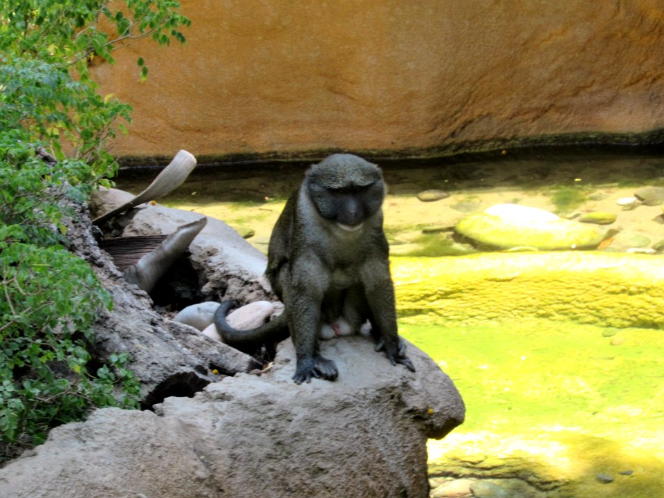 IMG 4597 (2)