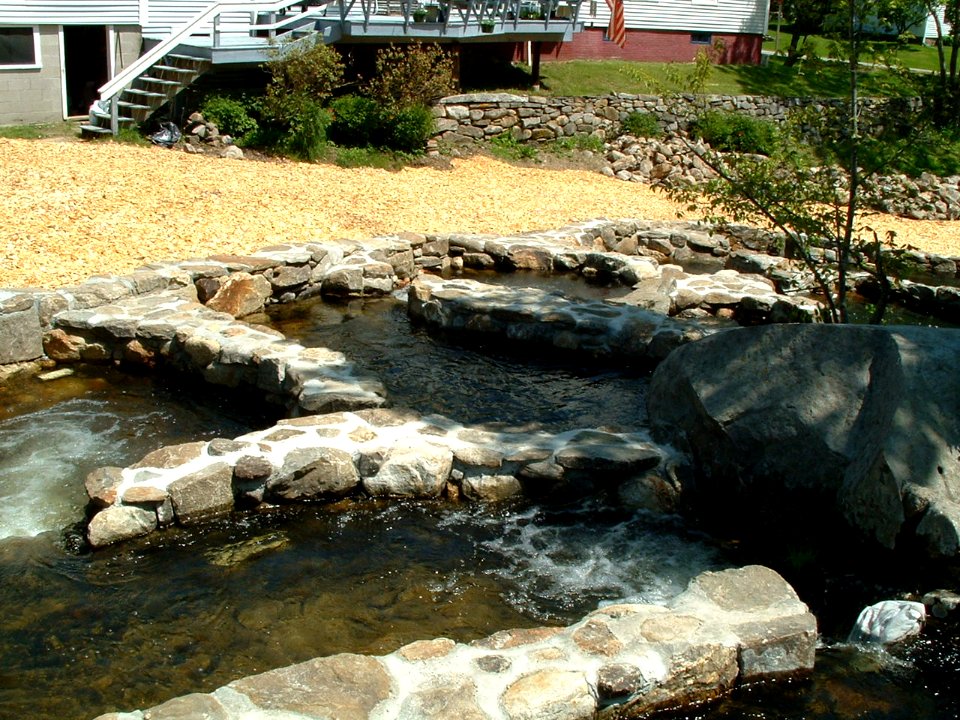 Pool and weir ladder 3