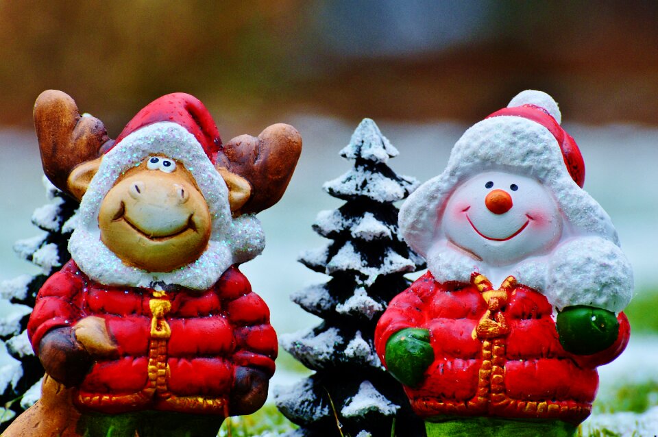 Festival advent contemplative