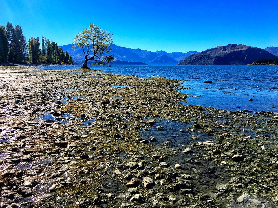 2017 03 NewZealand iPhone 5