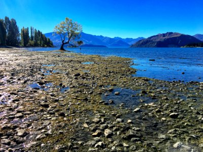 2017 03 NewZealand iPhone 5