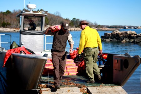 Beginning repairs at Stewart B. McKinney National Wildlife Refuge (CT)