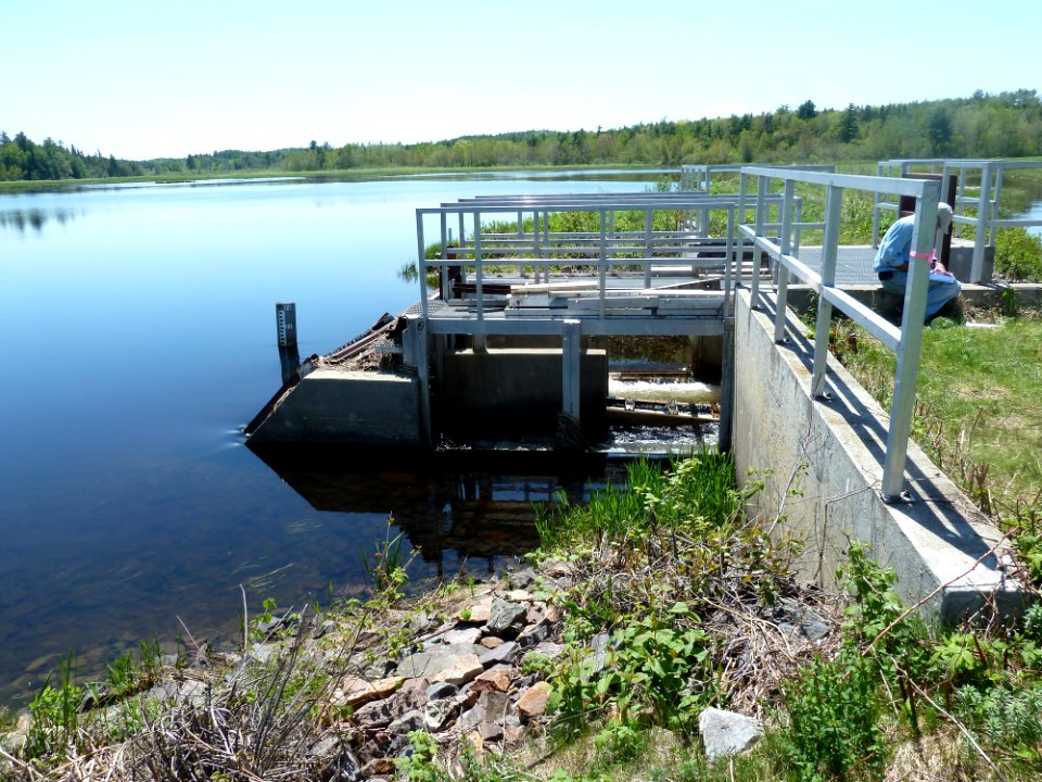 Upper Magurrewock impoundment, dam and spillway at Moosehorn National Wildlife Refuge (ME)