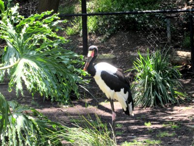 IMG 4554 (2)