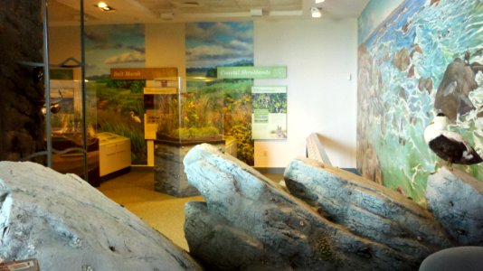 Exhibits