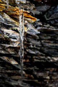 Ice- Spike The Icicle