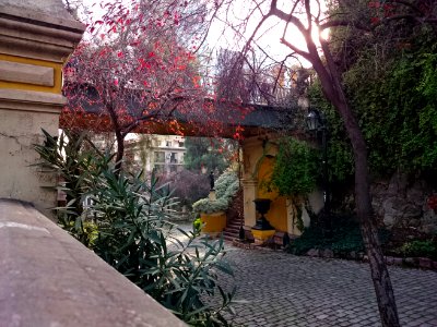 DSC 0221