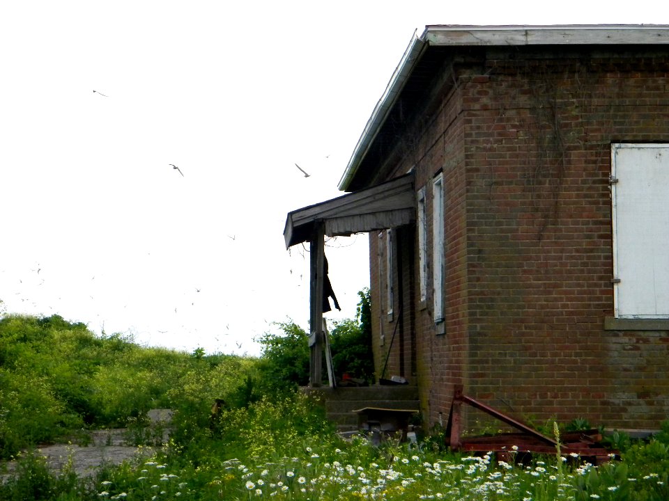 Great Gull Island, NY