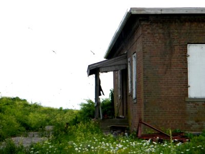 Great Gull Island, NY