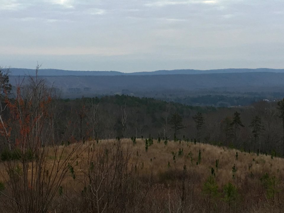 Controlled burn to restore mountain longleaf pine in northwest Georgia - 170317-FS-Chattahoochee-Oconee-SB-071