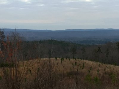 Controlled burn to restore mountain longleaf pine in northwest Georgia - 170317-FS-Chattahoochee-Oconee-SB-071