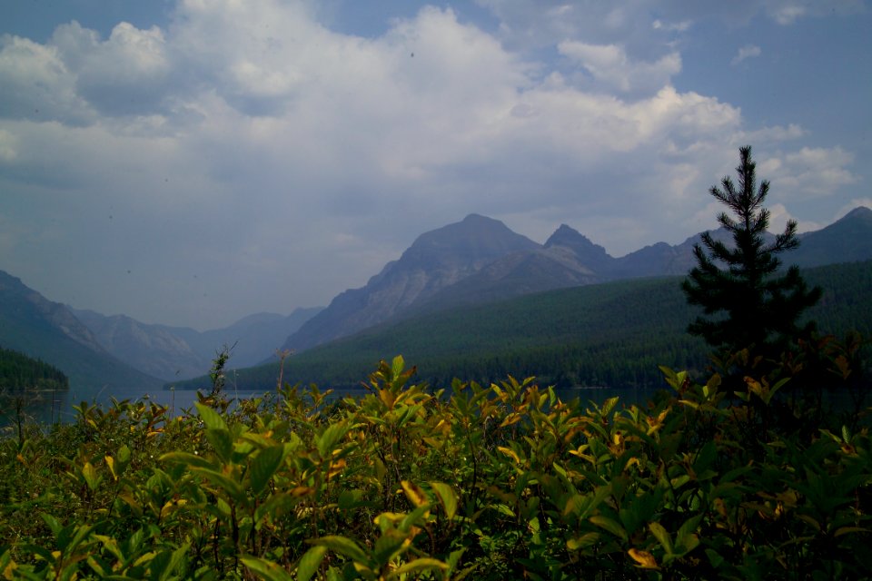 Bowman Lake