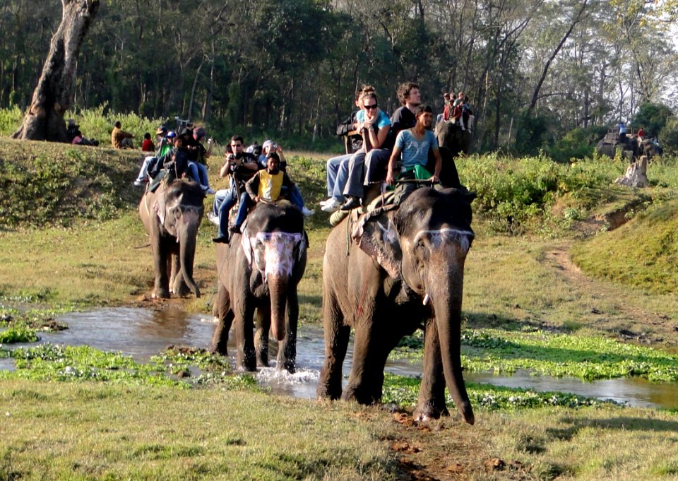 Elephant Back Safari