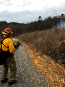 Controlled burn to restore mountain longleaf pine in northwest Georgia - 170317-FS-Chattahoochee-Oconee-SB-009