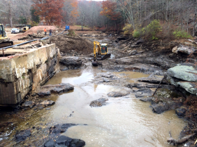 Norton Mill Dam Removed (Nov2016) Credit Sally Harold TNC