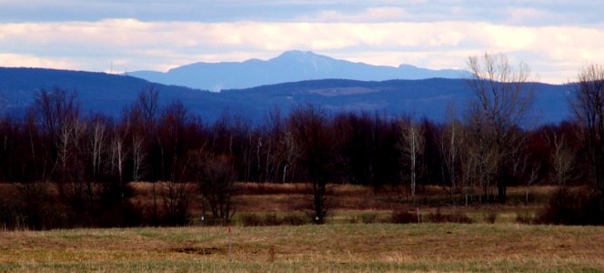 Mount Mansfield from Missisquoi National Wildlife Refuge